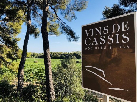 cassis