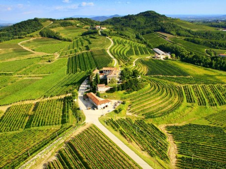 Friuli